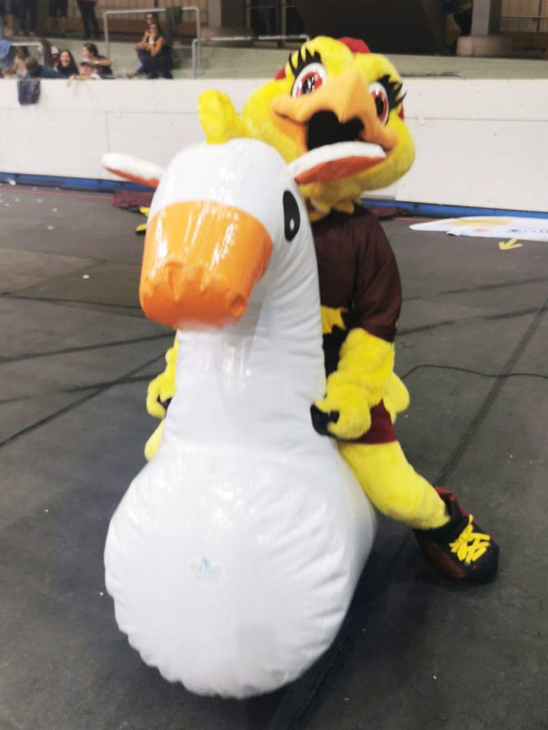 Location jeux, châteaux, animations, décorations gonflables pour vos événements privés ou publics !