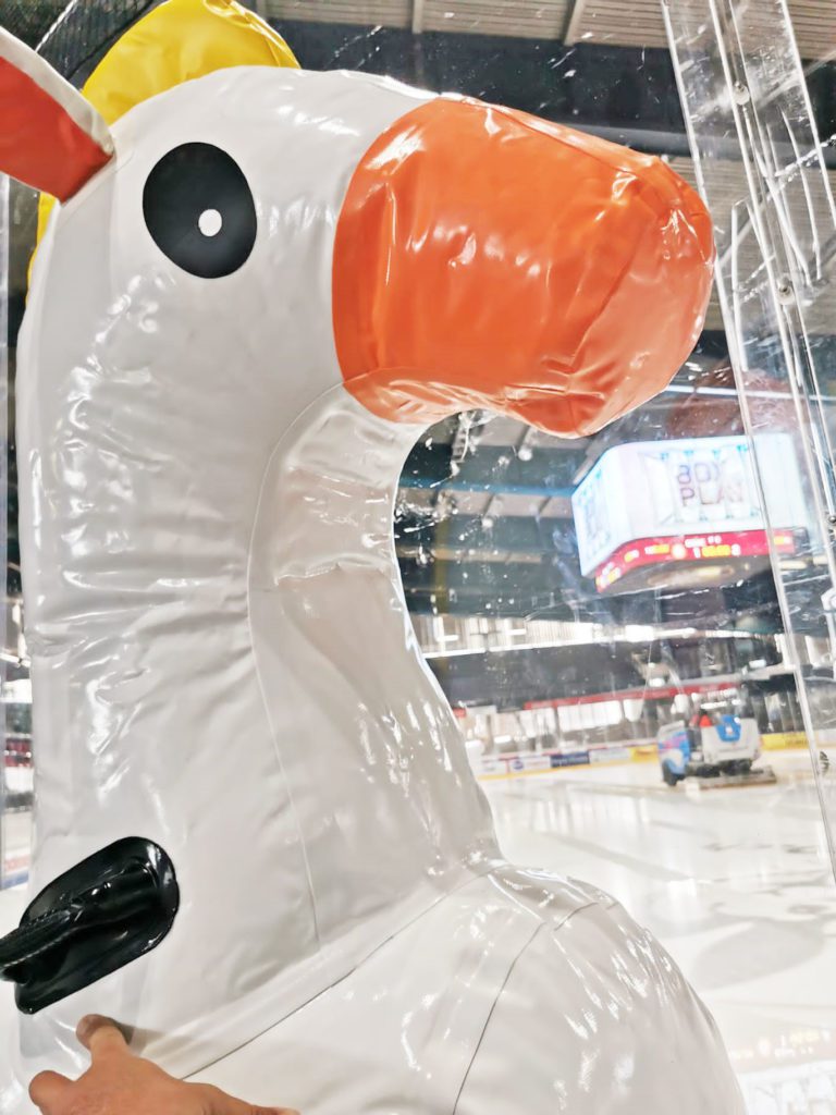 Location jeux, châteaux, animations, décorations gonflables pour vos événements privés ou publics !