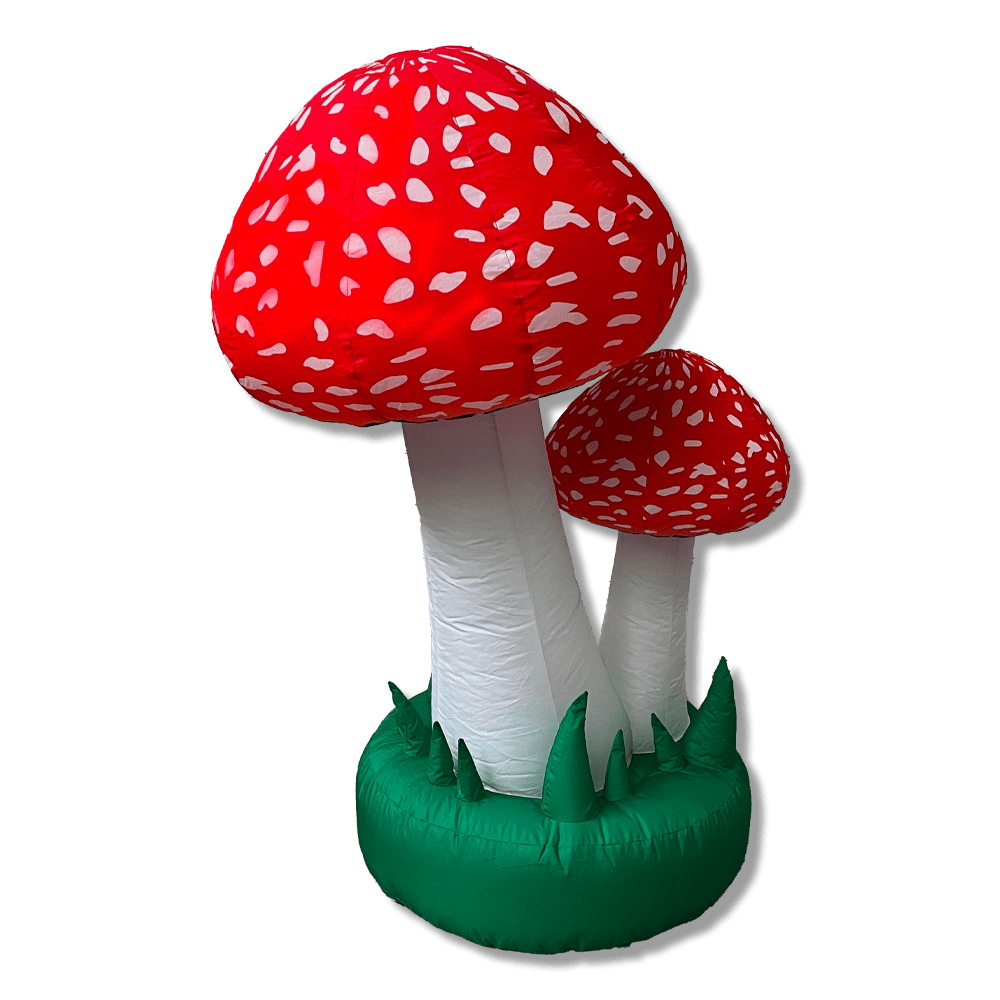 Location jeux, châteaux, animations, décorations gonflables pour vos événements privés ou publics !