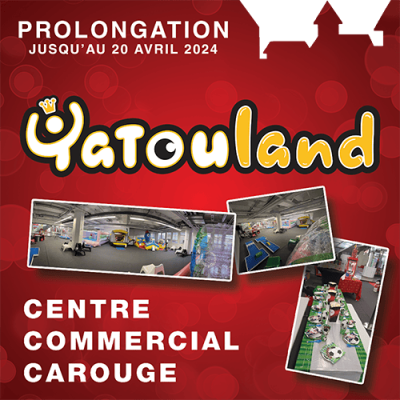 Yatouland le roi des anniversaires depuis 2006 - Anniversaires enfants Genève